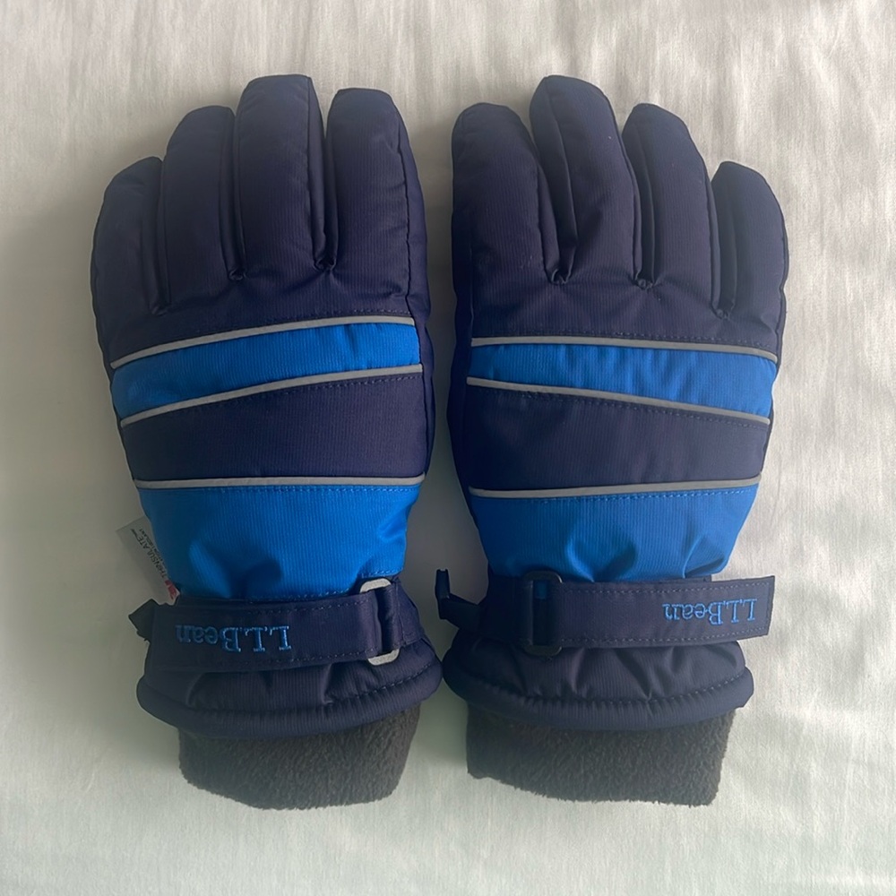 Winter Gloves